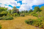 Images for Broad Oaks Road, Solihull