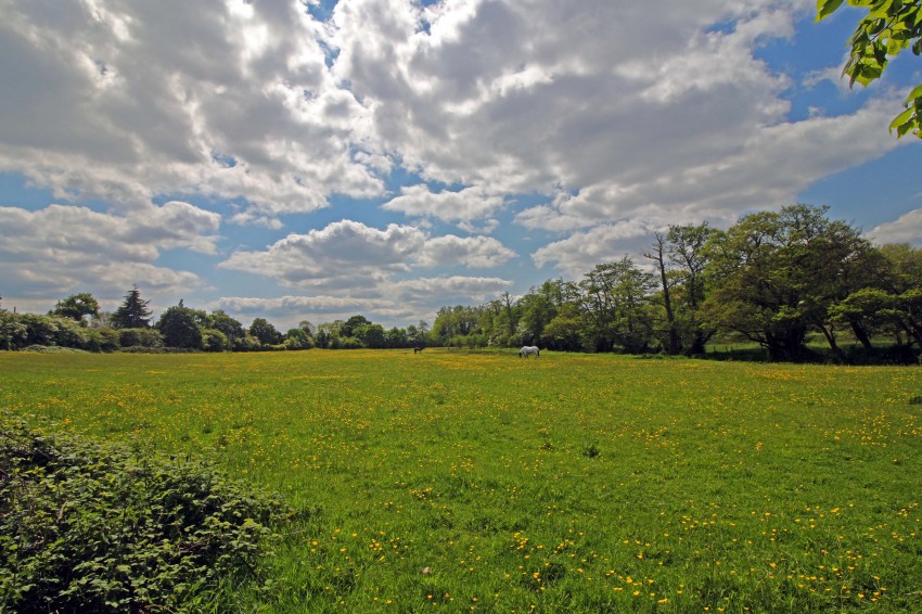 Images for Peterbrook Road, Majors Green EAID: BID:simonburt