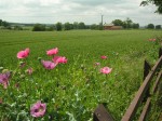 Images for Back Lane, Meriden